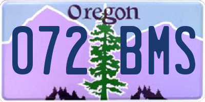 OR license plate 072BMS