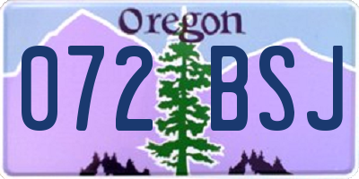 OR license plate 072BSJ