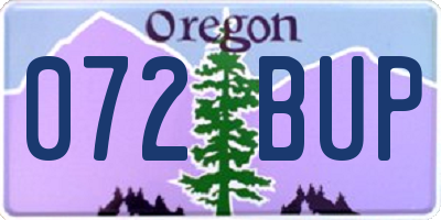 OR license plate 072BUP