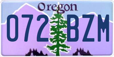 OR license plate 072BZM