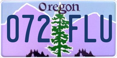 OR license plate 072FLU