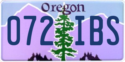 OR license plate 072IBS