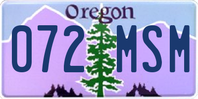 OR license plate 072MSM