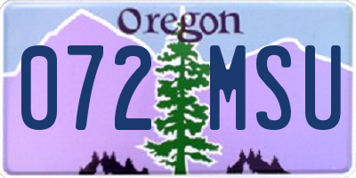 OR license plate 072MSU