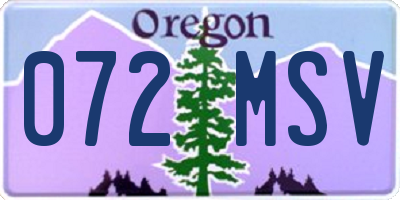 OR license plate 072MSV