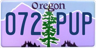 OR license plate 072PUP