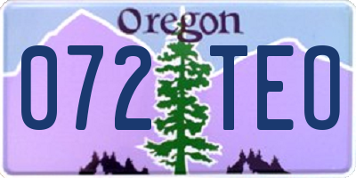 OR license plate 072TEO
