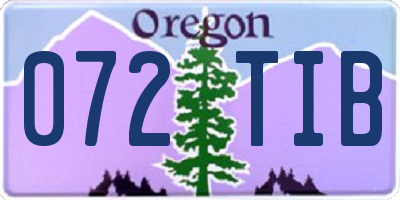 OR license plate 072TIB