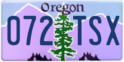 OR license plate 072TSX