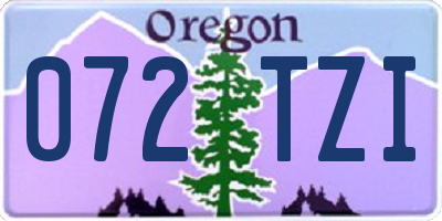OR license plate 072TZI