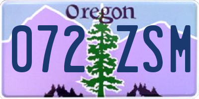 OR license plate 072ZSM