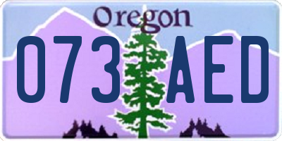 OR license plate 073AED