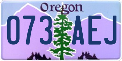 OR license plate 073AEJ