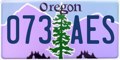 OR license plate 073AES