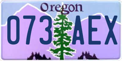 OR license plate 073AEX