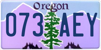 OR license plate 073AEY