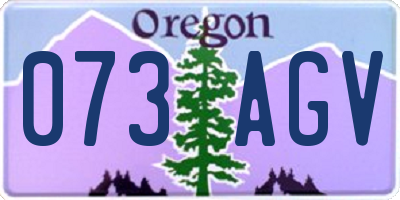 OR license plate 073AGV