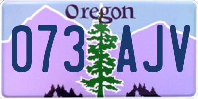 OR license plate 073AJV