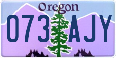 OR license plate 073AJY