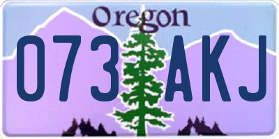 OR license plate 073AKJ
