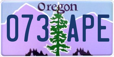OR license plate 073APE
