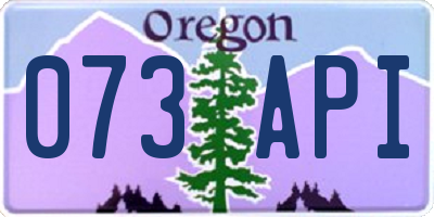 OR license plate 073API