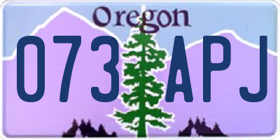 OR license plate 073APJ