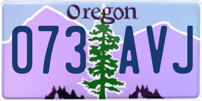 OR license plate 073AVJ