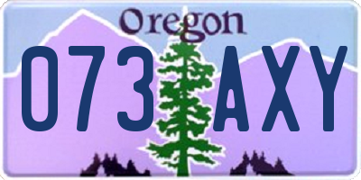OR license plate 073AXY