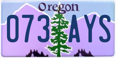 OR license plate 073AYS
