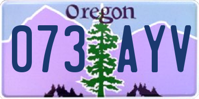 OR license plate 073AYV