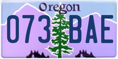 OR license plate 073BAE
