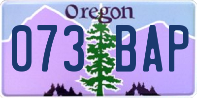 OR license plate 073BAP