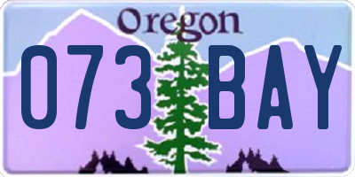 OR license plate 073BAY