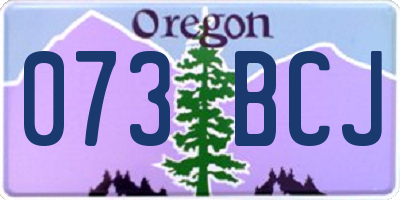 OR license plate 073BCJ