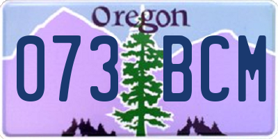 OR license plate 073BCM