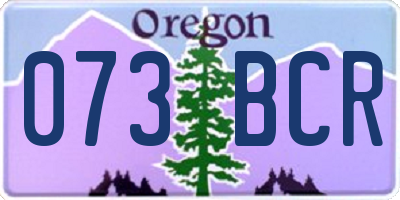 OR license plate 073BCR