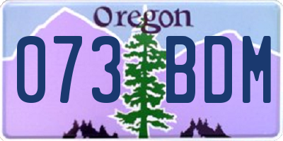OR license plate 073BDM