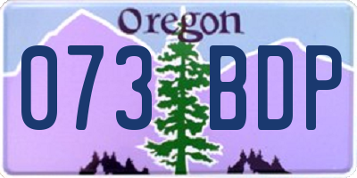OR license plate 073BDP