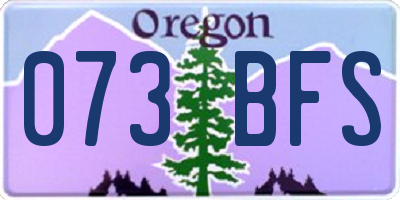 OR license plate 073BFS