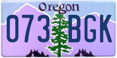 OR license plate 073BGK