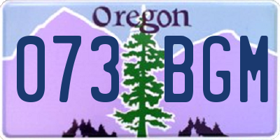 OR license plate 073BGM
