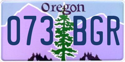 OR license plate 073BGR