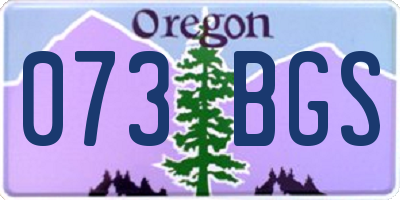 OR license plate 073BGS