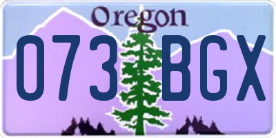 OR license plate 073BGX