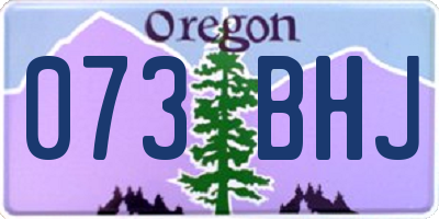 OR license plate 073BHJ