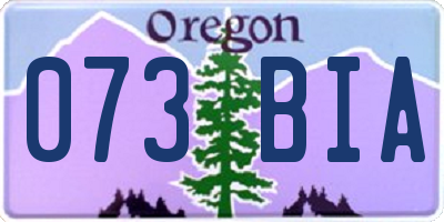 OR license plate 073BIA