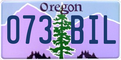 OR license plate 073BIL