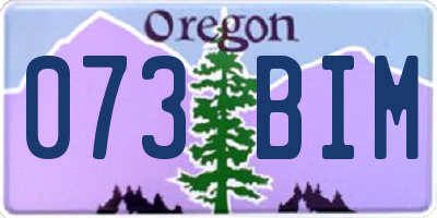 OR license plate 073BIM