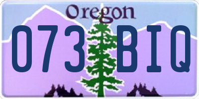 OR license plate 073BIQ
